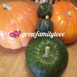 pumpkin-and-pumcchini-squash-grow-family-love