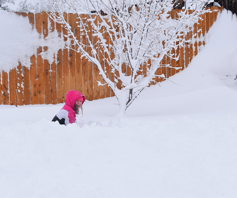 Graci happily buried in the snow