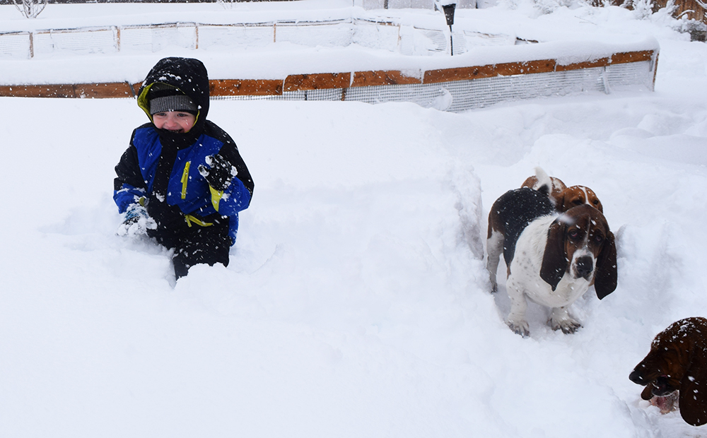 Noah and Flash in the snow