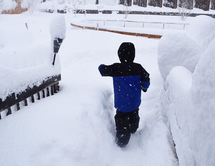 Noah's first big snowstorm