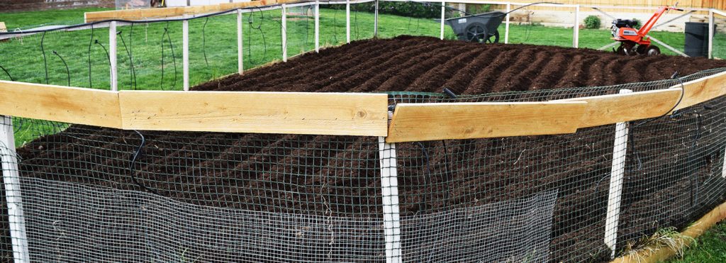 fresh garden rows in the spring