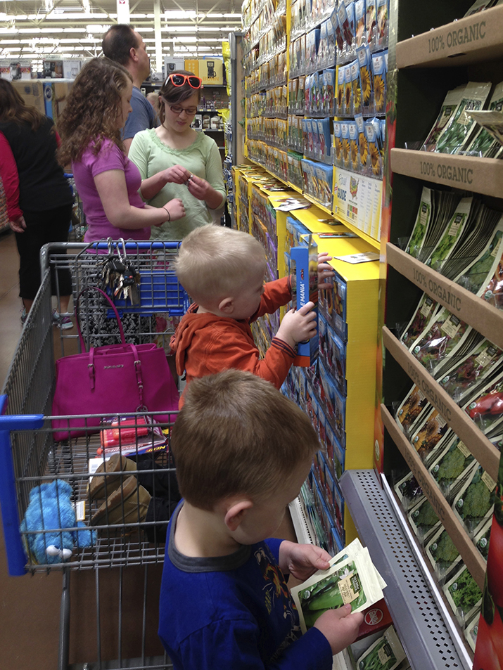 Shopping for seeds 2016