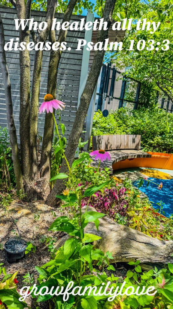 Flower blooming in hospital garden, paired with Psalm 103:3 verse about God’s healing.