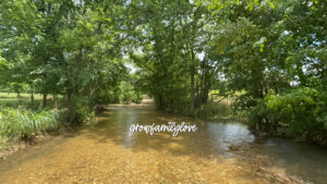 Summer view of a creek flowing through an Ozark holler during a season of family healing.