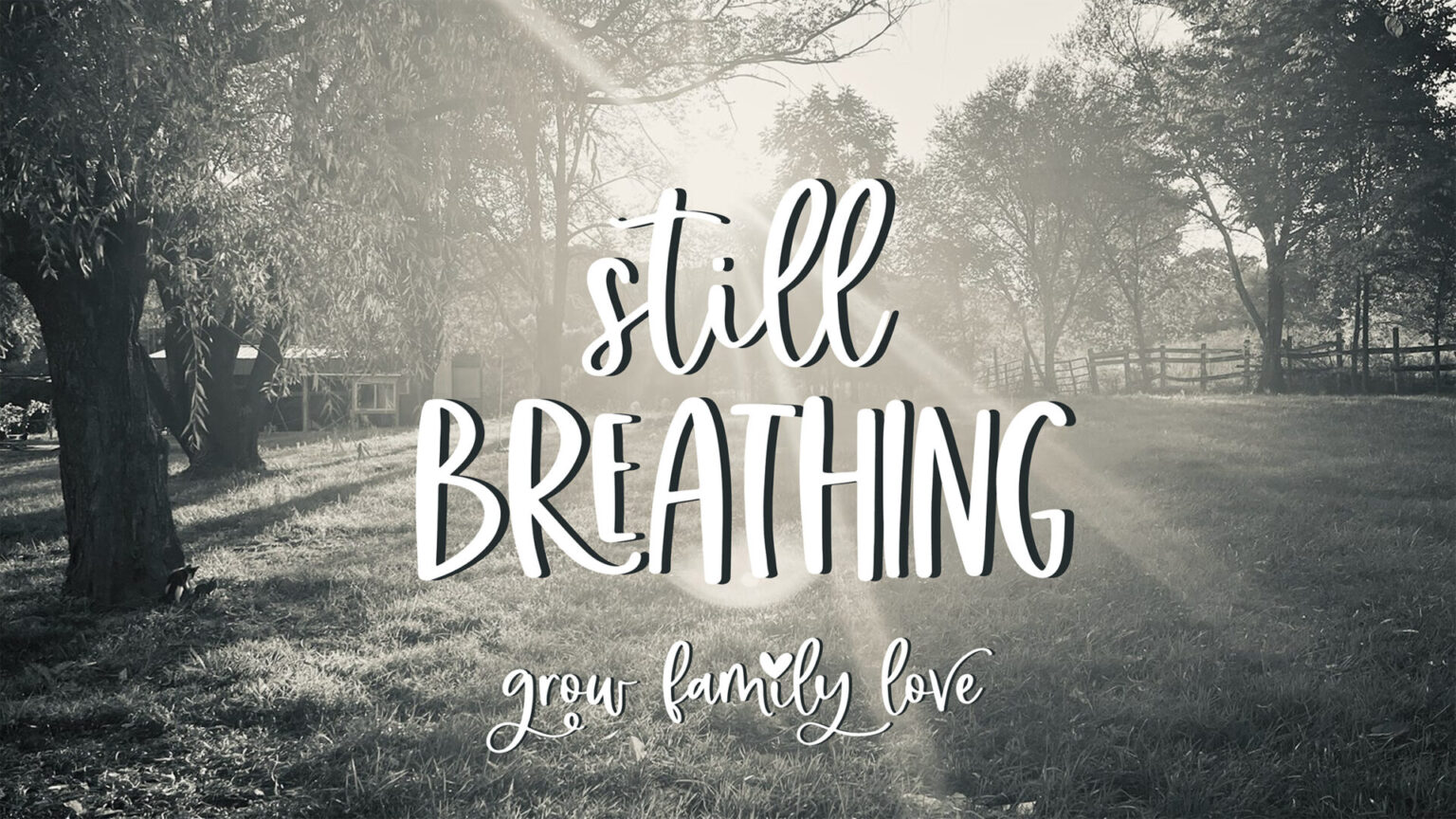 Still Breathing song story from Grow Family Love with sunlight shining through trees