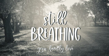 Still Breathing song story from Grow Family Love with sunlight shining through trees