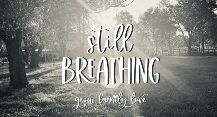 Still Breathing song story from Grow Family Love with sunlight shining through trees