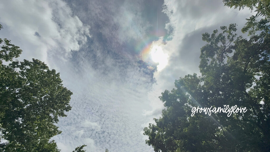 Sunlight filtering through trees with a rainbow of light in the summer sky.